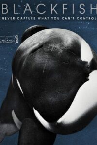 Blackfish